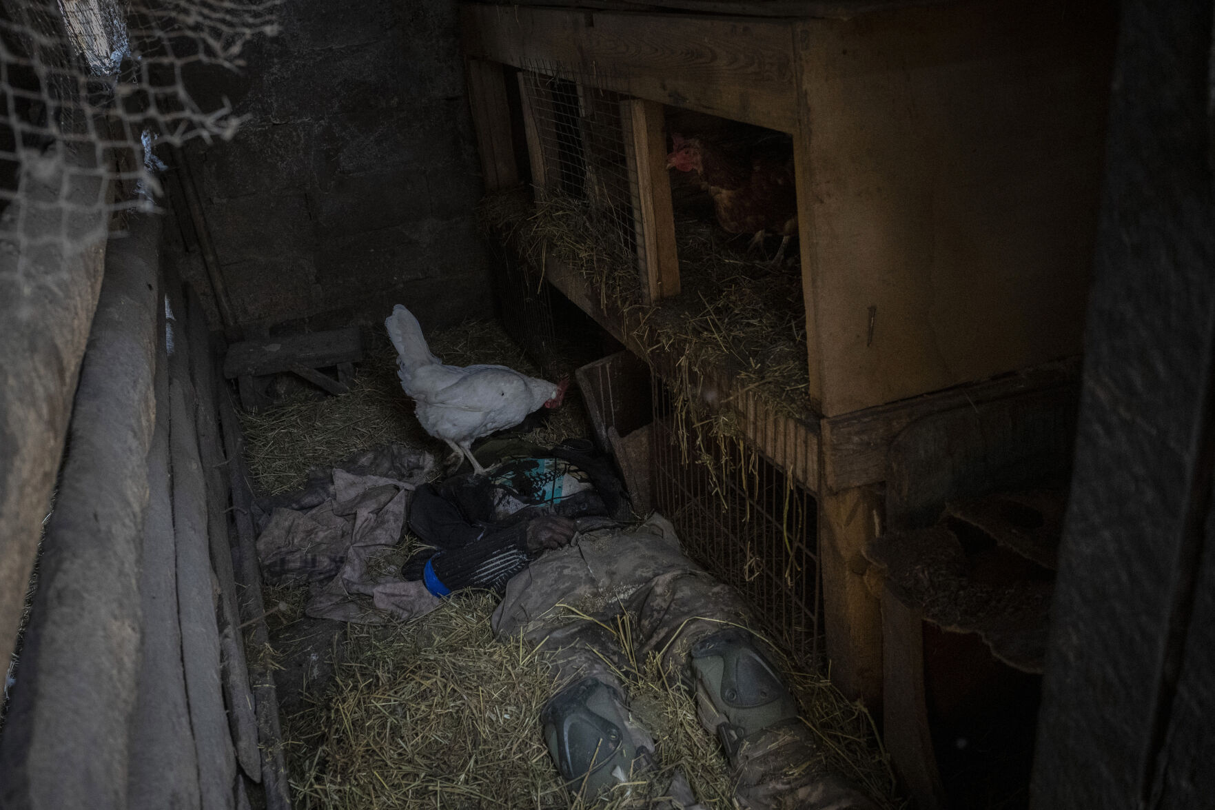 Russia Ukraine War A Week Photo Gallery